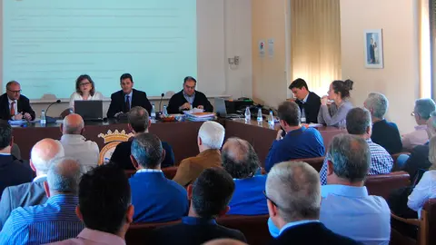 Presentaci&oacute;n de los datos
