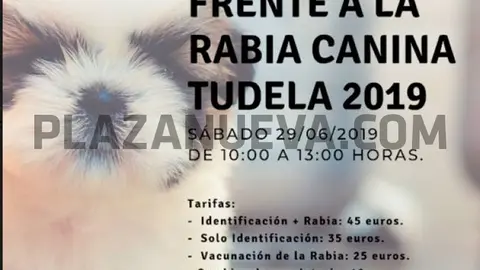 Campaña vacunaciçon canina Tudela 2019