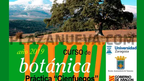 XVIII Curso en Tarazona de Bot&aacute;nica Pr&aacute;ctica 'Cienfuegos' sobre la flora y vegetaci&oacute;n del Moncayo