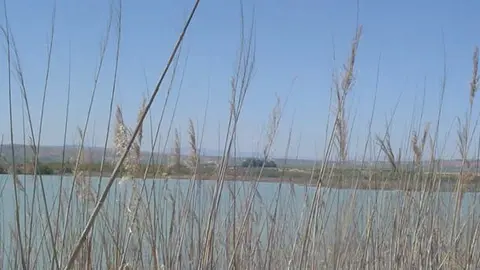Balsa El Pulguer de Tudela