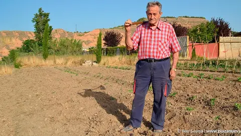 Pablo Miranda Melero, Hortelano Popular 2019
