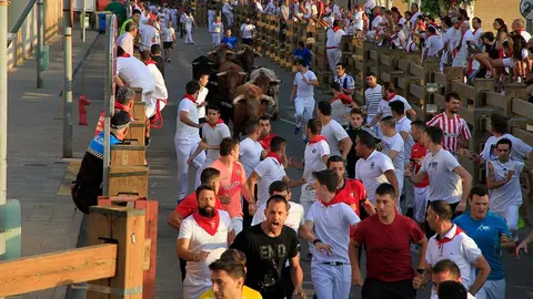 Fiestas de Tudela, día 25 Encierro y Vacas en la plaza 11