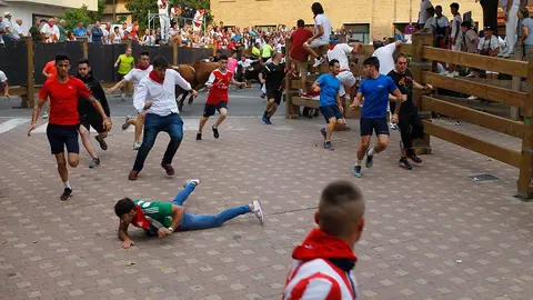 Fiestas de Tudela &rsquo;19, d&iacute;a 26 - Encierro y vacas en la plaza 8