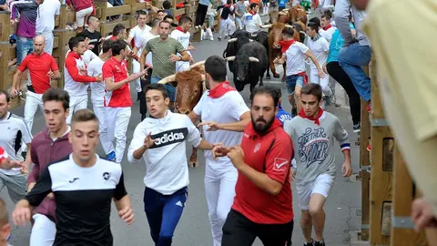 Fiestas de Tudela &rsquo;19, d&iacute;a 27 - Encierro y vacas en la plaza 19