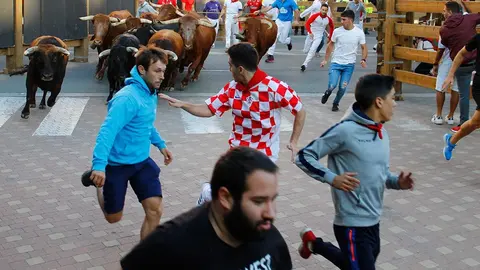 Fiestas de Tudela &rsquo;19, d&iacute;a 28 - Encierro y vacas en la plaza 27