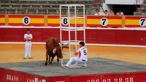 Fiestas de Tudela &rsquo;19, d&iacute;a 26 - Exhibici&oacute;n de bravura Arriazu 8