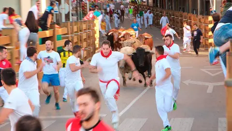 Fiestas de Tudela &rsquo;19, d&iacute;a 29 - Encierro y vacas en la plaza 4