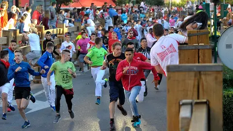 Fiestas de Tudela &rsquo;19, d&iacute;a 29 - Encierro y vacas en la plaza 7