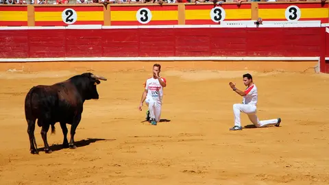Fiestas de Tudela &rsquo;19, d&iacute;a 28 - Concurso de recortadores con toros en punta 4