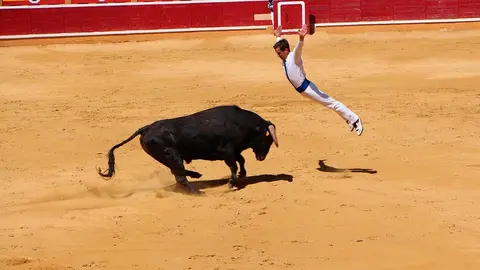 Fiestas de Tudela &rsquo;19, d&iacute;a 28 - Concurso de recortadores con toros en punta 9
