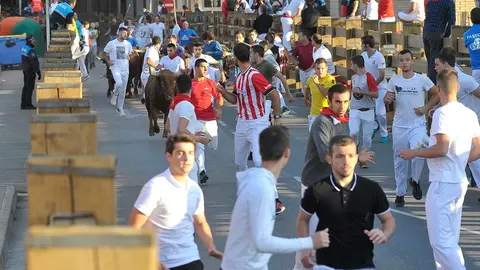 Fiestas de Tudela &rsquo;19, d&iacute;a 30 - Encierro y vacas en la plaza 12