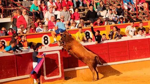 Fiestas de Tudela &rsquo;19, d&iacute;a 30 - Encierro y vacas en la plaza 62
