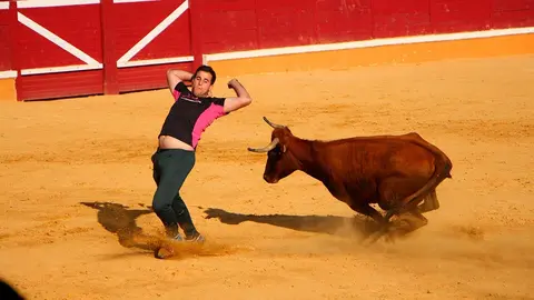 Fiestas de Tudela &rsquo;19, d&iacute;a 30 - Vaquillas en la plaza por la tarde 15