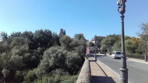 Puente del Ebro en Tudela