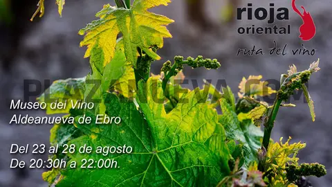 El ciclo de la Viña Exposición fotográfica en Aldeanueva de Ebro