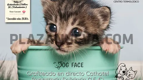 Día del animal sin hogar en Cascante