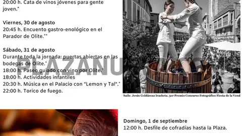 XXIX Fiesta de la Vendimia de Navarra en Olite