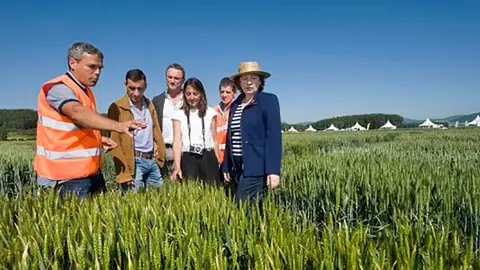 Visita a unos campos
