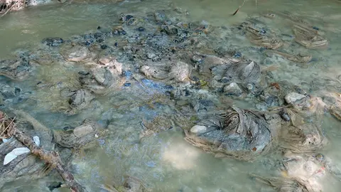 Vertidos en Alhama
