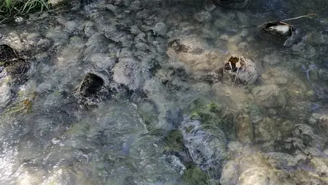 Vertidos-en-el-Alhama