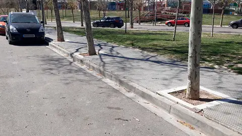 Arreglos de alcorques y aceras en Tudela