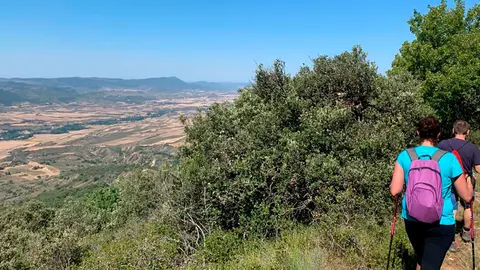 La ruta entre Isuerre y Urriés permite contemplar bellas vistas del bosque cincovillés