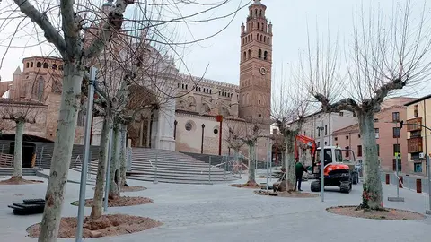 Obras en la plaza de la Seo de Tarazona