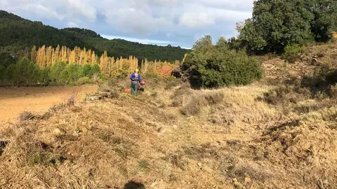Los montes de El Frago se han comenzado a limpiar gracias al plan de limpieza y conservación que se lleva a cabo anualmente en la Comarca de las Cinco Villas con ayuda del Gobierno de Aragón