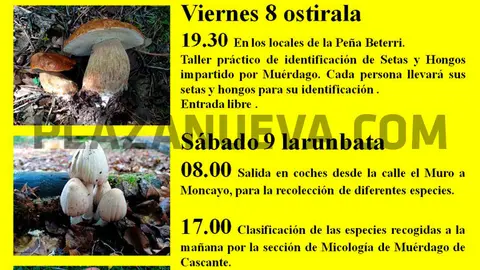XXI Jornadas micol&oacute;gicas en Tudela de la Pe&ntilde;a Beterri
