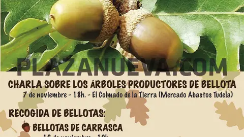 Bellotada en Tudela