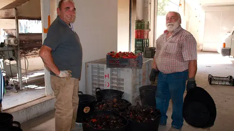 Asador Pimientos Puerta La Mejana