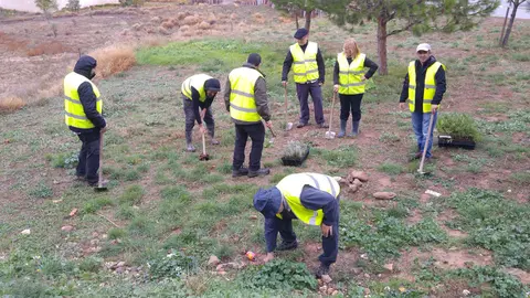 Reforestaci&oacute;n de la Asociaci&oacute;n Mu&eacute;rdago 1