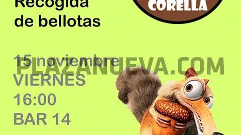 La gran bellotada ibérica en Corella
