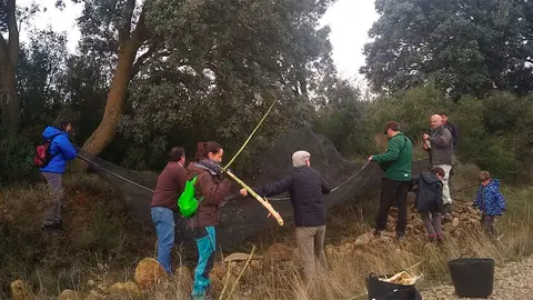 El 16 de noviembre Mascotas Verdes recogió bellotas en Ejea