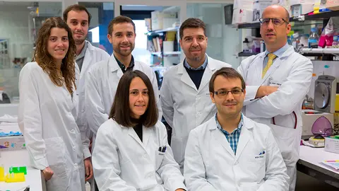 Los investigadores del Cima y la Clínica pertenecientes a la línea de uso de organoides Dres. Irati Macaya, Rodrigo Entrialgo, Adrián Vallejo, Silve Vicent, Mariano Ponz-Sarvise y Esther Blanco e Iker Feliu