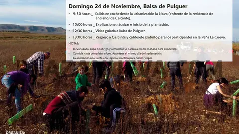 Plantación en El Pulguer