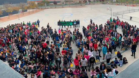 El pasado viernes&nbsp;todo el alumnado y profesorado del C.P. Huertas Mayores se sum&oacute; al movimiento, 'Fridays for Future'