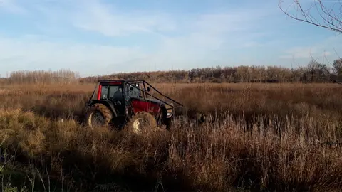 Inicio trabajos de restauración fluvial Ebro en Alfaro