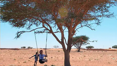 Viaje al corazón del desierto