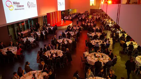 VI Gala Ni&ntilde;os contra el C&aacute;ncer