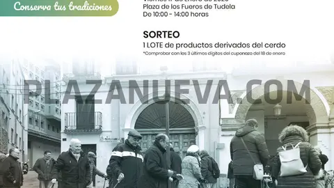 San Ant&oacute;n 2020 en Tudela