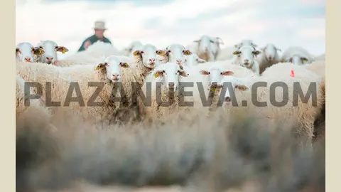 II Concurso de fotograf&iacute;a y cortometraje &lsquo;Memorial Juli&aacute;n Isla&rsquo;