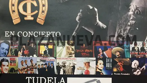 Concierto en Tudela por San Valent&iacute;n a cargo de Chuch&iacute;n Ib&aacute;&ntilde;ez