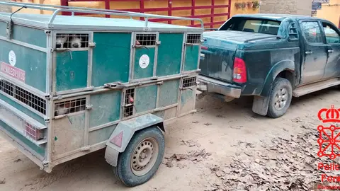 Los perros estaban en el remolque del veh&iacute;culo