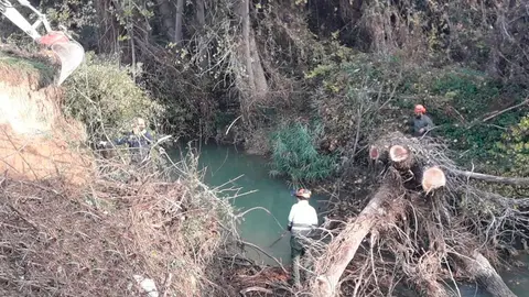 Tareas de limpieza en el r&iacute;o Zidacos
