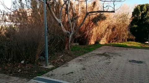 Im&aacute;genes del lugar 3