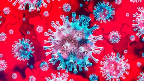 coronavirus covid-19 6