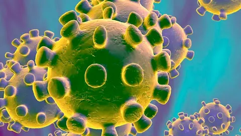coronavirus covid-19