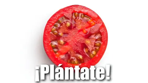Navarra quiere comer de su huerta