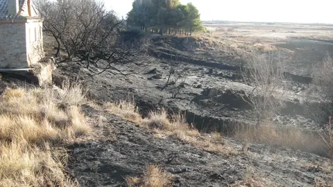 Zona afectada por los incendios en El Pulguer